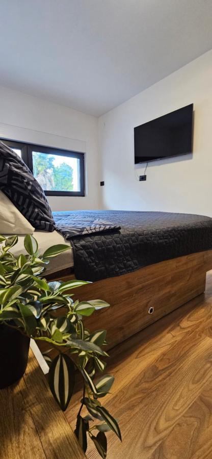 Betty Apartments Borik - Whole Ground Floor Rovinj Dış mekan fotoğraf
